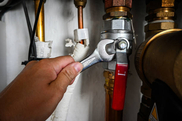 Best Local Plumber Services  in Liberty Triangle, FL